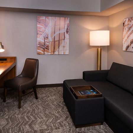 Springhill Suites By Marriott Pittsburgh North Shore Buitenkant foto