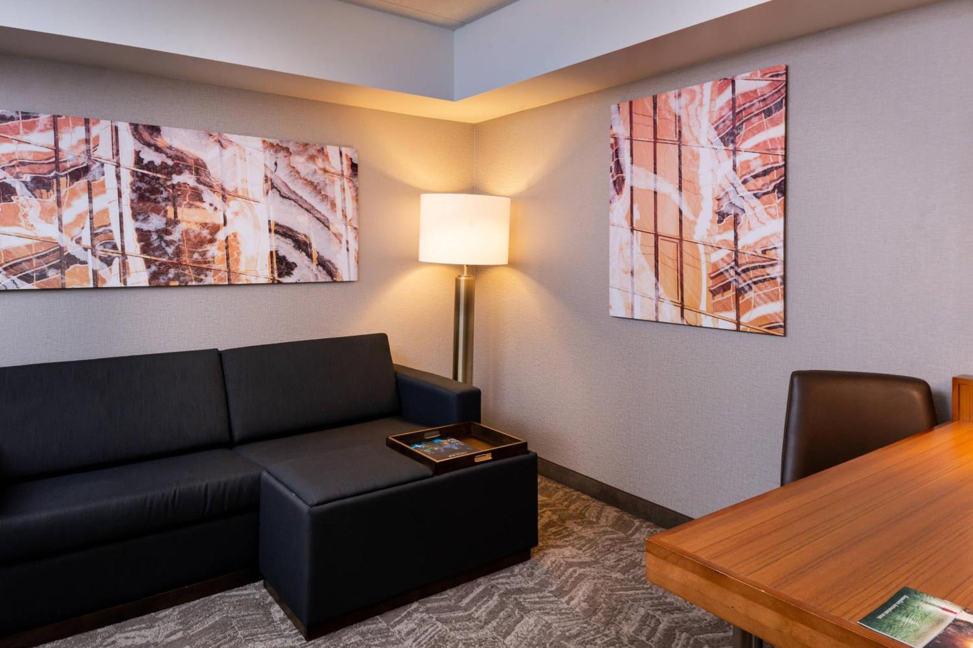 Springhill Suites By Marriott Pittsburgh North Shore Buitenkant foto